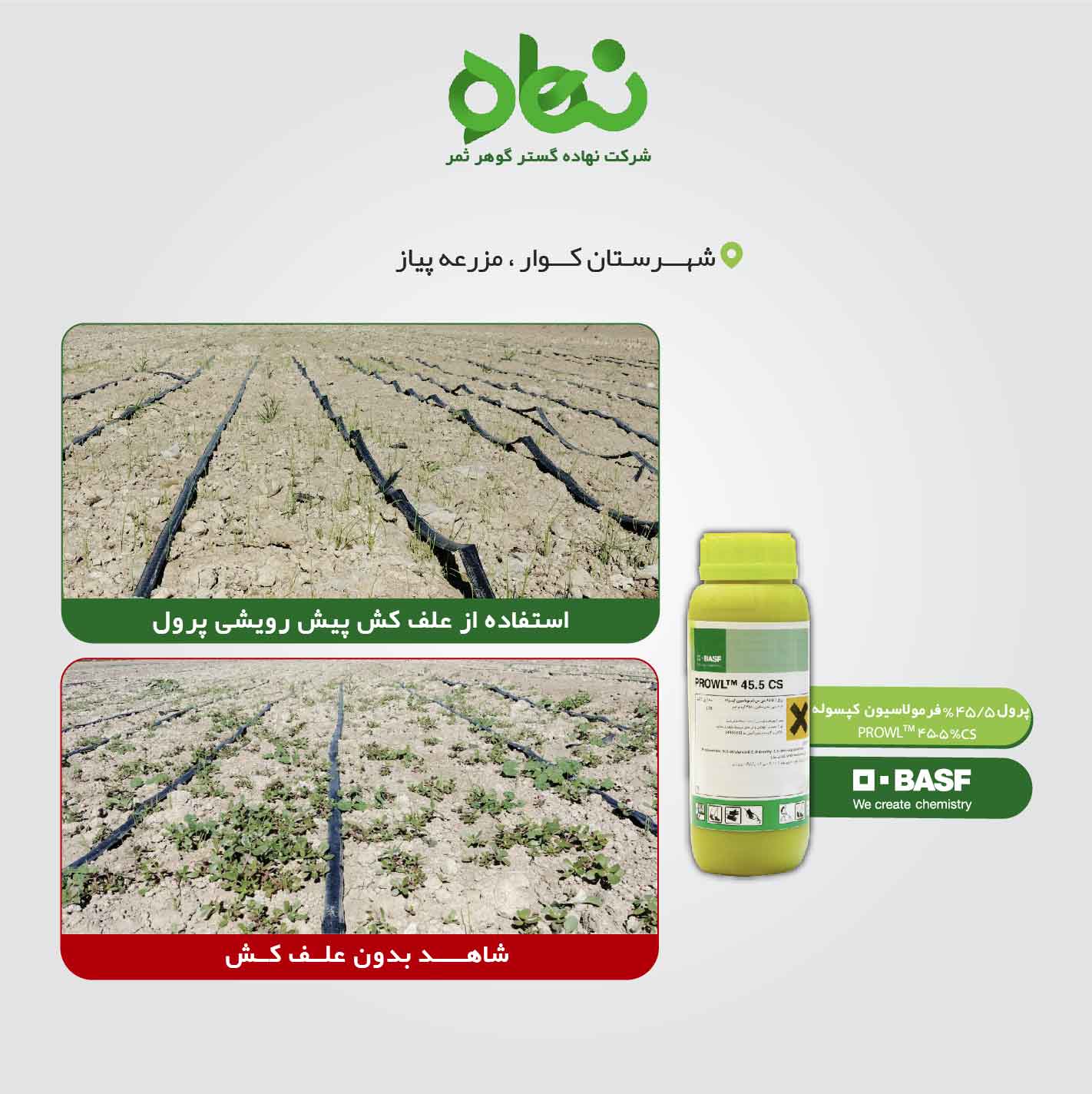 Use of Prowl pre-emergence herbicide in onion fields